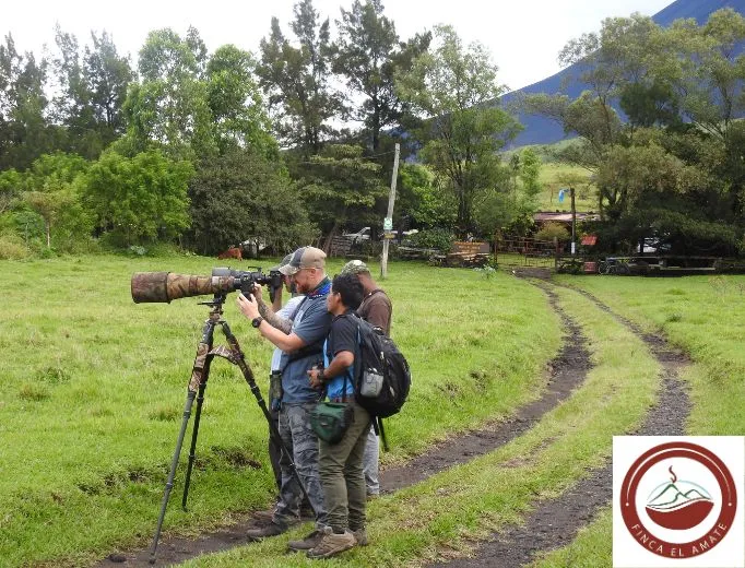 Finca-El-Amate-Tourism-in-Guatemala-farms-in-Guatemala -places-to-visit-in-Guatemala -tourism-in-Gua